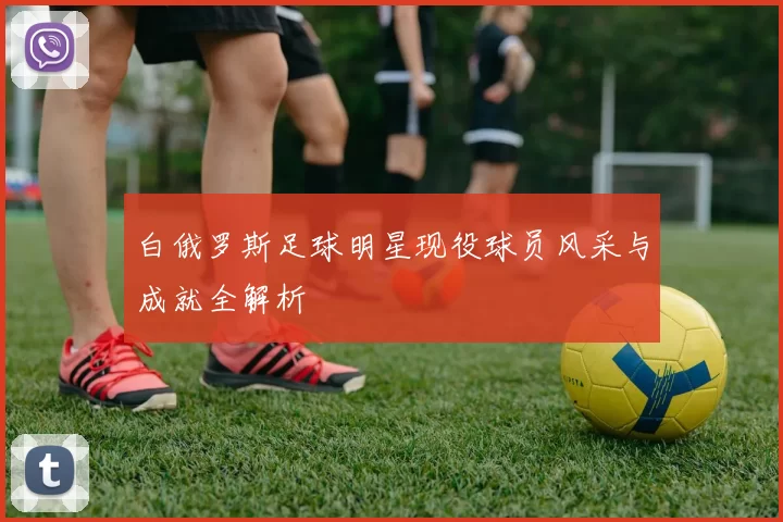 白俄罗斯足球明星现役球员风采与成就全解析