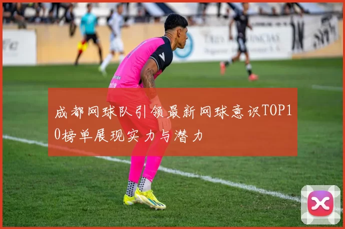 成都网球队引领最新网球意识TOP10榜单展现实力与潜力