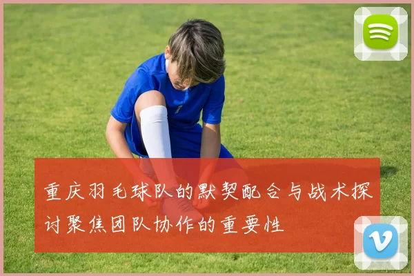 重庆羽毛球队的默契配合与战术探讨聚焦团队协作的重要性