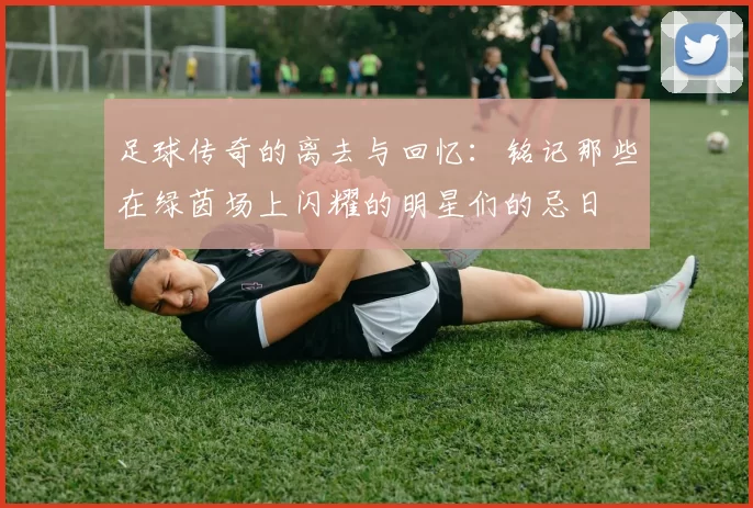 足球传奇的离去与回忆：铭记那些在绿茵场上闪耀的明星们的忌日