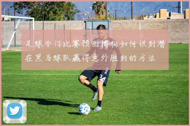 足球冷门比赛预测揭秘如何识别潜在黑马球队赢得意外胜利的方法