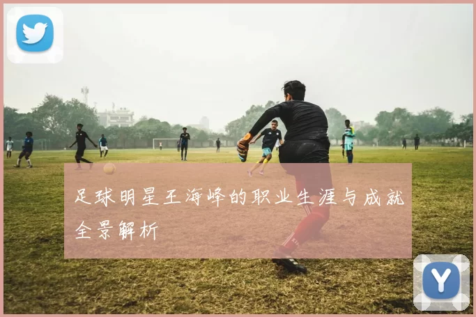 足球明星王海峰的职业生涯与成就全景解析