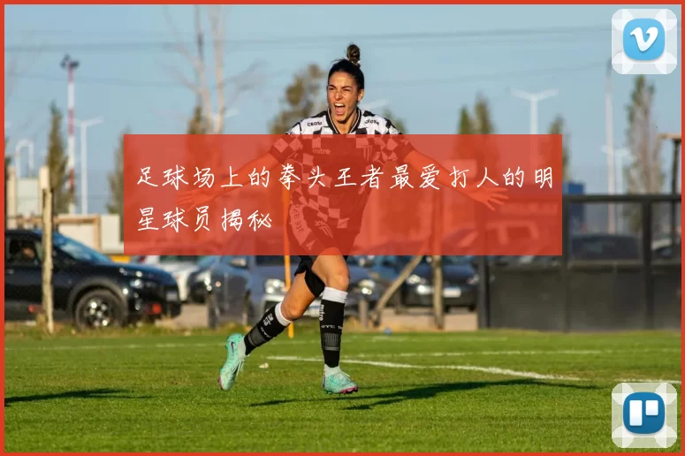 足球场上的拳头王者最爱打人的明星球员揭秘