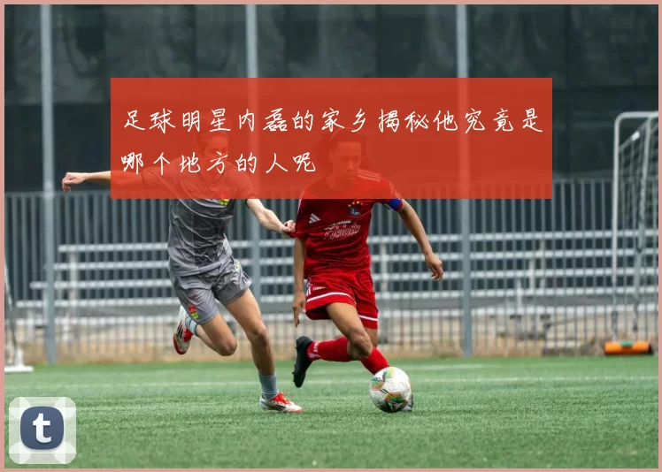 足球明星内磊的家乡揭秘他究竟是哪个地方的人呢