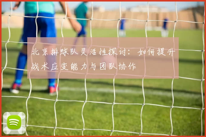 北京排球队灵活性探讨：如何提升战术应变能力与团队协作