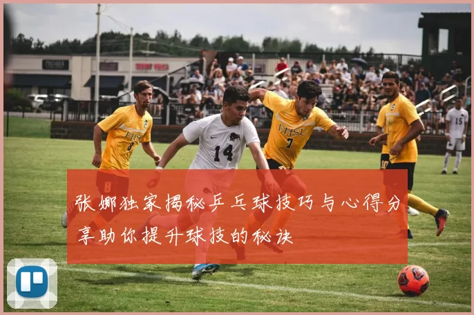 张娜独家揭秘乒乓球技巧与心得分享助你提升球技的秘诀