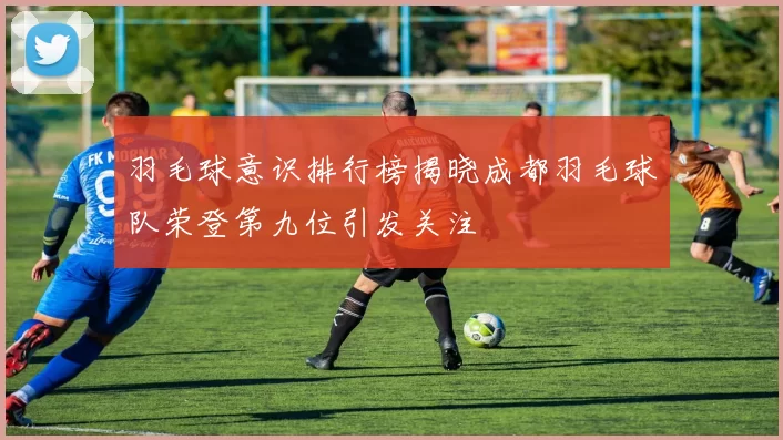羽毛球意识排行榜揭晓成都羽毛球队荣登第九位引发关注