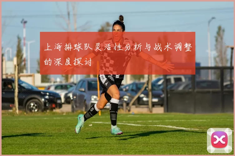 上海排球队灵活性分析与战术调整的深度探讨