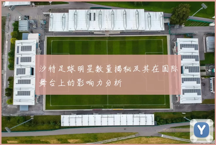 沙特足球明星数量揭秘及其在国际舞台上的影响力分析