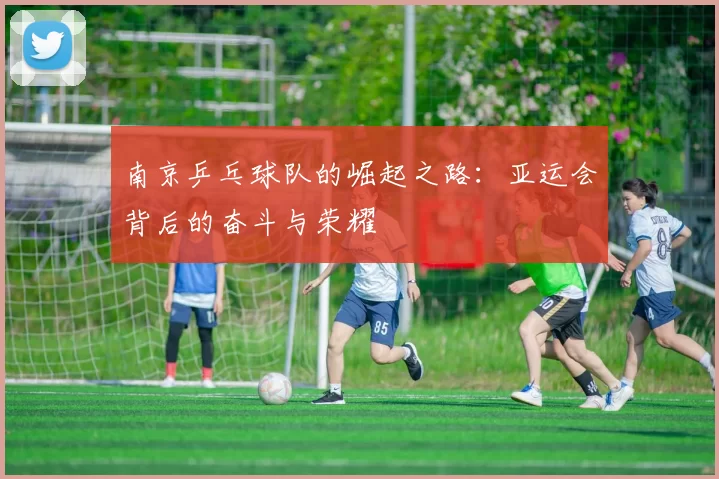 南京乒乓球队的崛起之路：亚运会背后的奋斗与荣耀