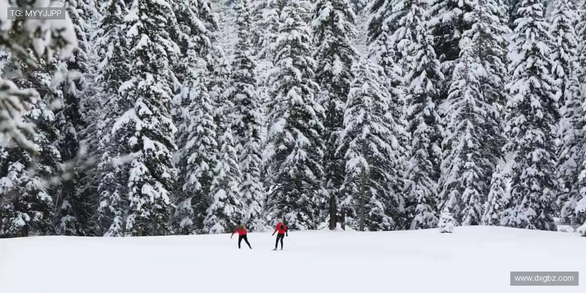 📱高清直播，随时点燃你的热爱！🎥